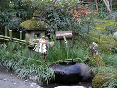 祇王寺