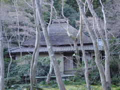 祇王寺