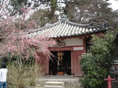 醍醐寺