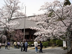 醍醐寺