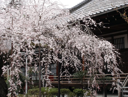 醍醐寺