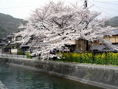 醍醐寺