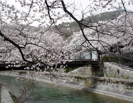 醍醐寺