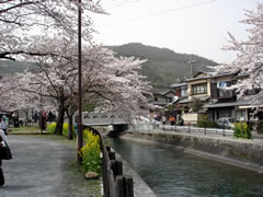 醍醐寺