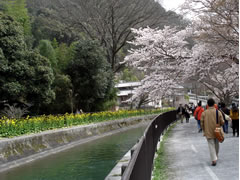 醍醐寺