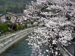醍醐寺