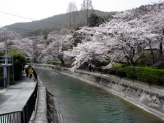 醍醐寺
