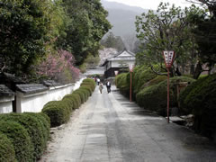 随心院