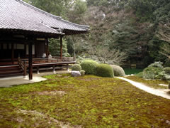 随心院
