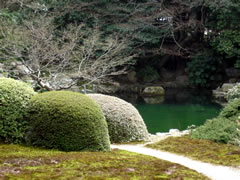随心院