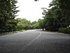 京都御苑（御所）