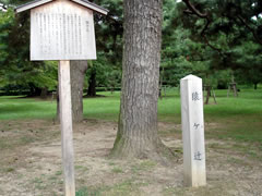 京都御苑（御所）