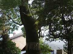 若宮八幡宮