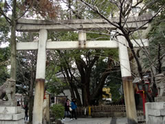 安井金比羅宮