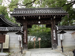 青蓮院