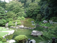 青蓮院