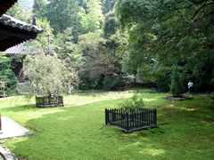 青蓮院