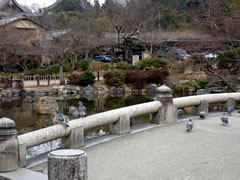 円山公園