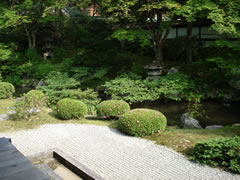 泉涌寺