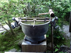 泉涌寺