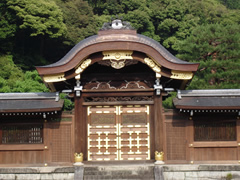 泉涌寺