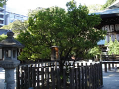 白峰神社