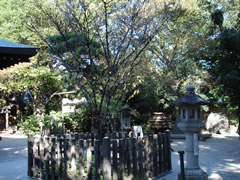 白峰神社