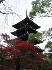 仁和寺