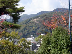 船岡山公園