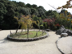 船岡山公園