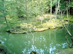 苔寺