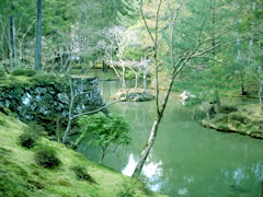 苔寺