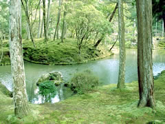 苔寺