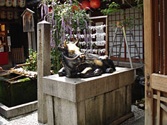 錦天満宮