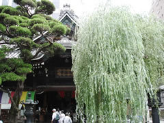 六角堂