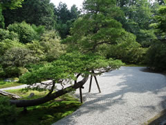 曼殊院