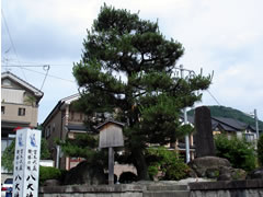 一乗寺下り松