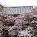 醍醐寺