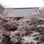 醍醐寺