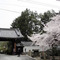 随心院：三門