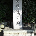 糺の森