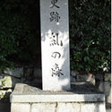 糺の森