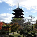 東寺（教王護国寺）