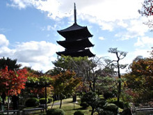東寺（教王護国寺）