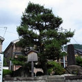 一乗寺下り松