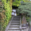 金福寺