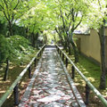 光悦寺