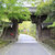 赤山禅院
