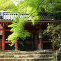 金蔵寺