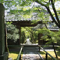 光悦寺